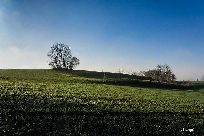 Heiniloo – Hügelzug im Süden des Dorfers