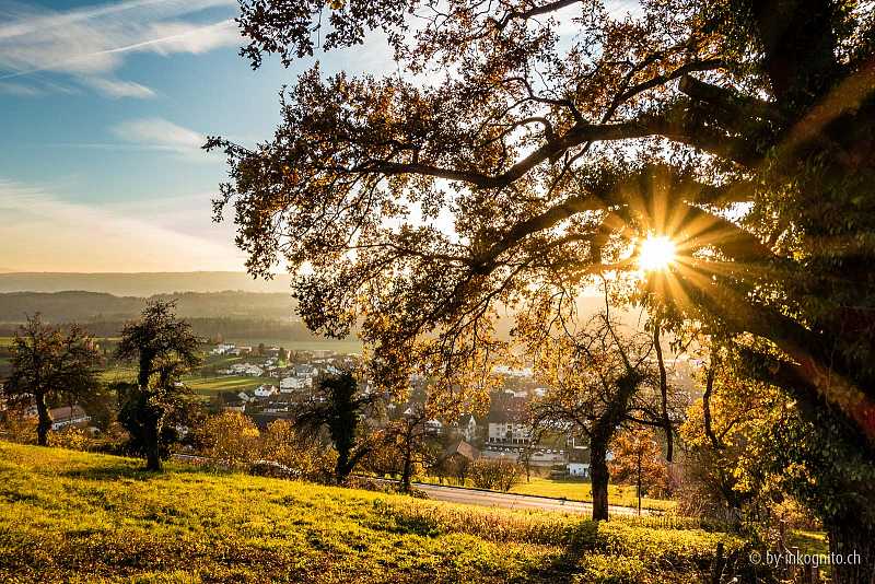 Blick auf Zufikon im Sonnenschein