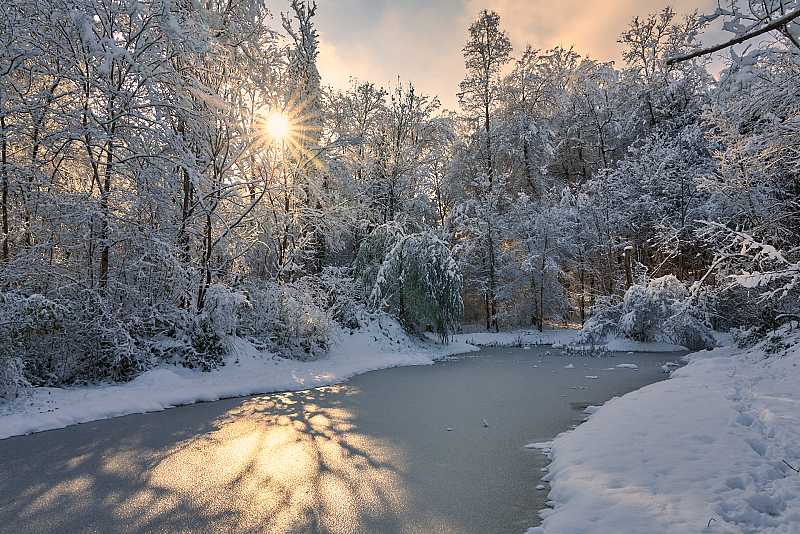 Biotop im Winter beim Emausparkplatz