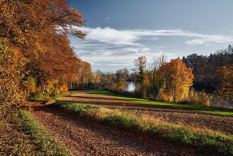 Wanderweg am Flachsee (Klausere)