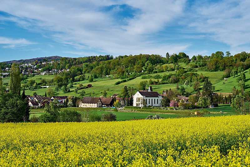 Blick vom Nüehschberg in Richtung Kirche St. Martin