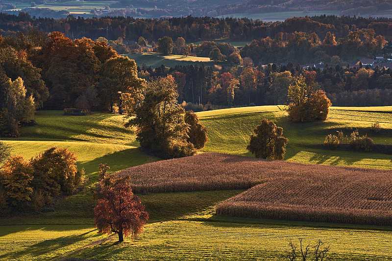 Blick vom Panoramaweg
